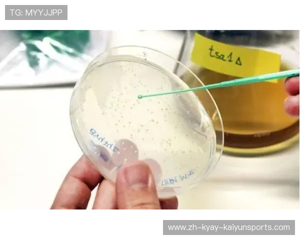 足球抗氧化剂对球员应对比赛强度造成的氧化压力是否有效提供防护